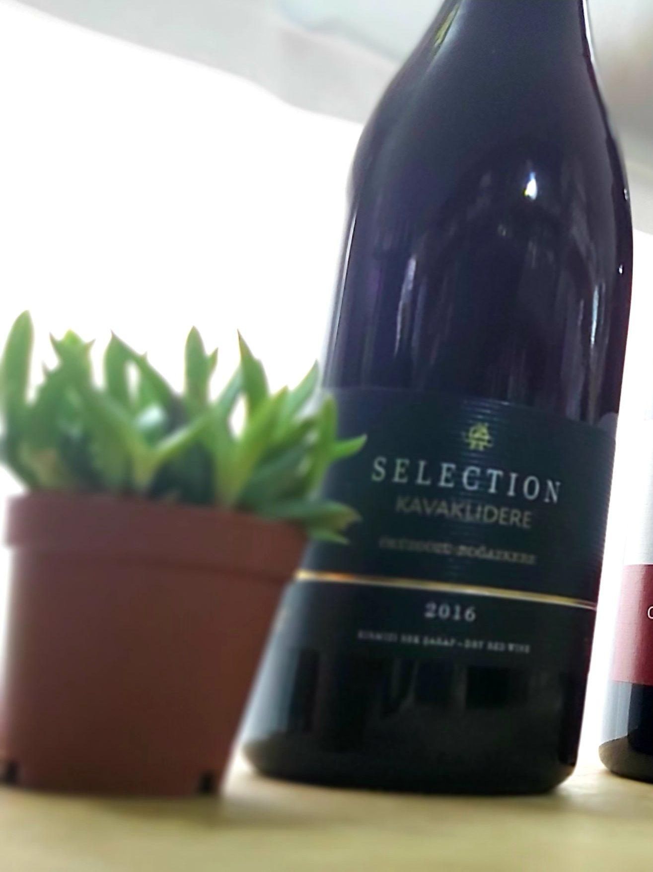 50 LİK SELECTION